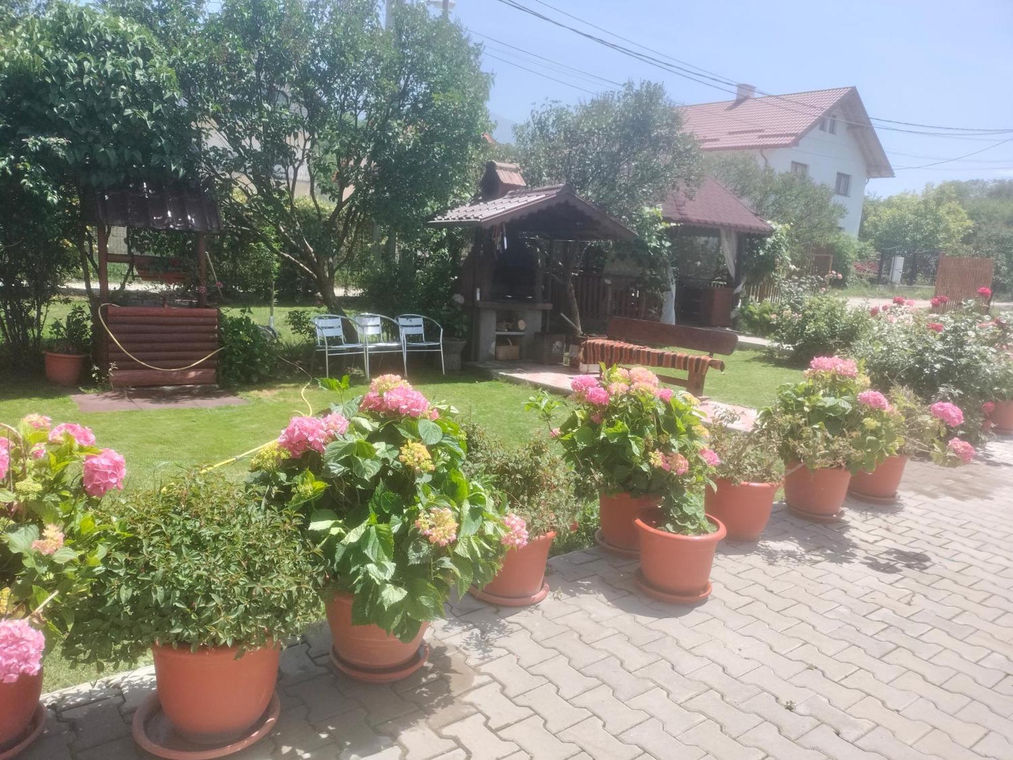 Casa Cornelia Hotel Bran  Bagian luar foto