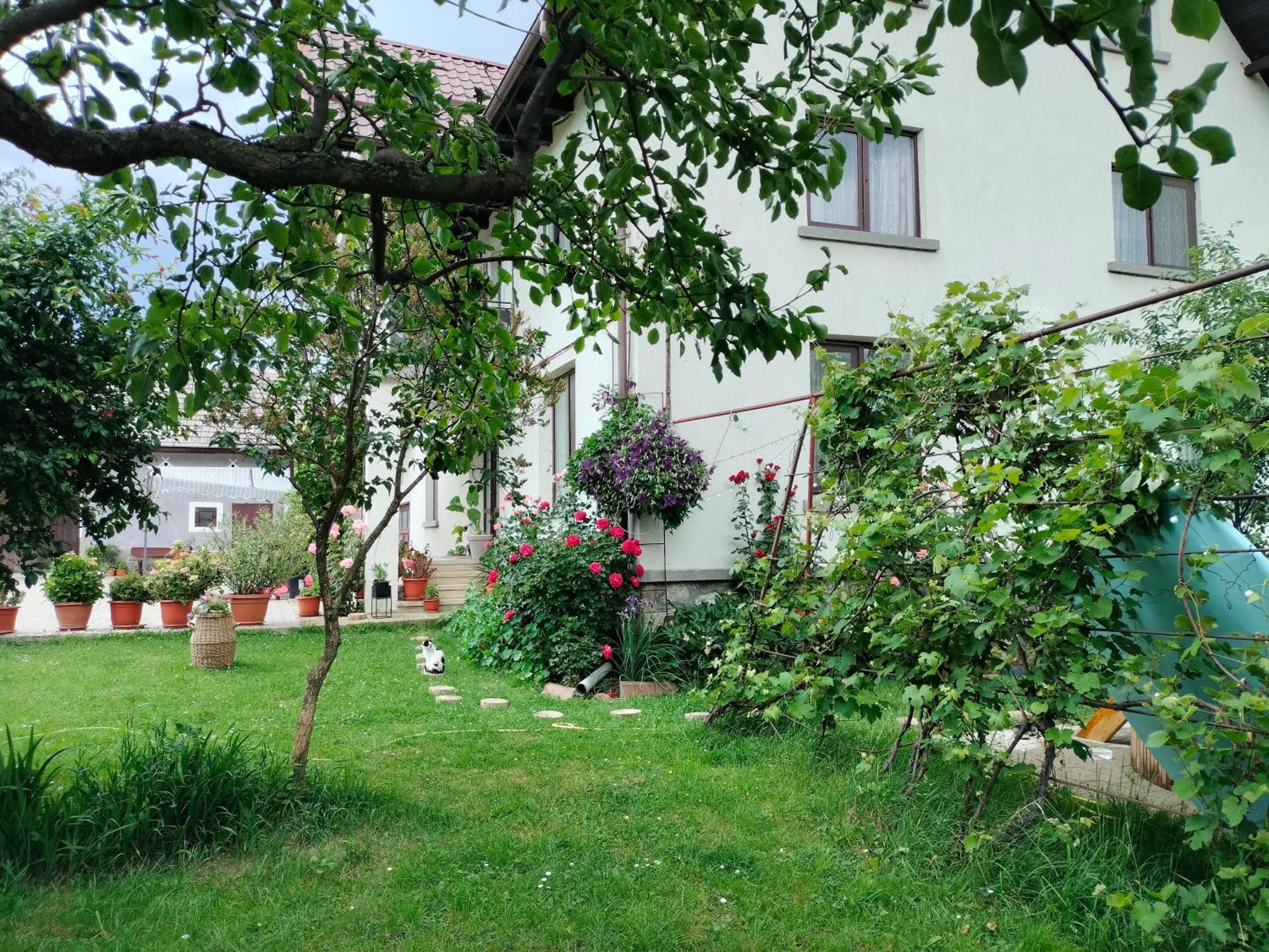 Casa Cornelia Hotel Bran  Bagian luar foto